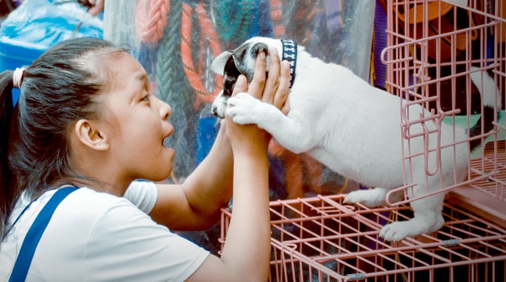 Top 7 Grooming Essentials Every Pet Parent Needs