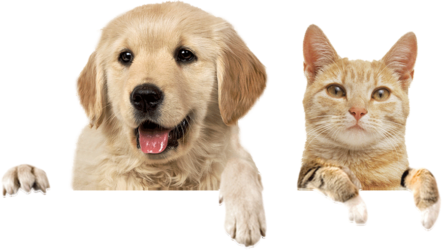 1e5bbfee image 15 1.png